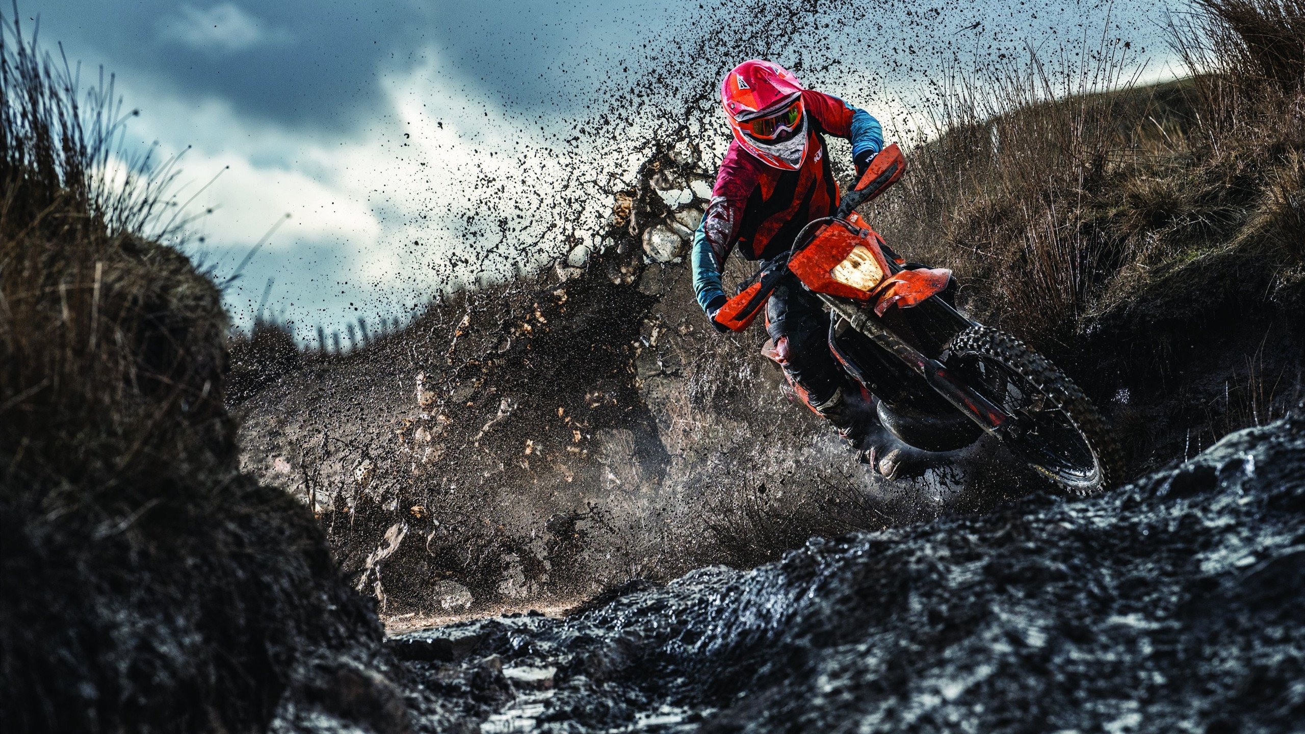 赛道上的王者，马克西在F1街道赛之夜拉开决定性差距